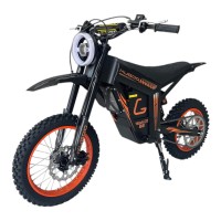 Электропитбайк Kugoo Wish 01 SE 48V 20.8Ah 1500w 