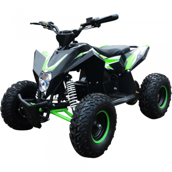 Электроквадроцикл Motax GEKKON 1300W черно-зеленый