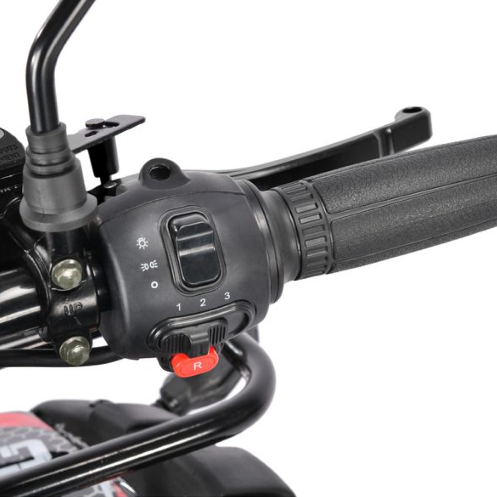 Электроквадроцикл WHITE SIBERIA SNEG PRO 3000W 11 Электроквадроцикл WHITE SIBERIA SNEG PRO 3000W 11