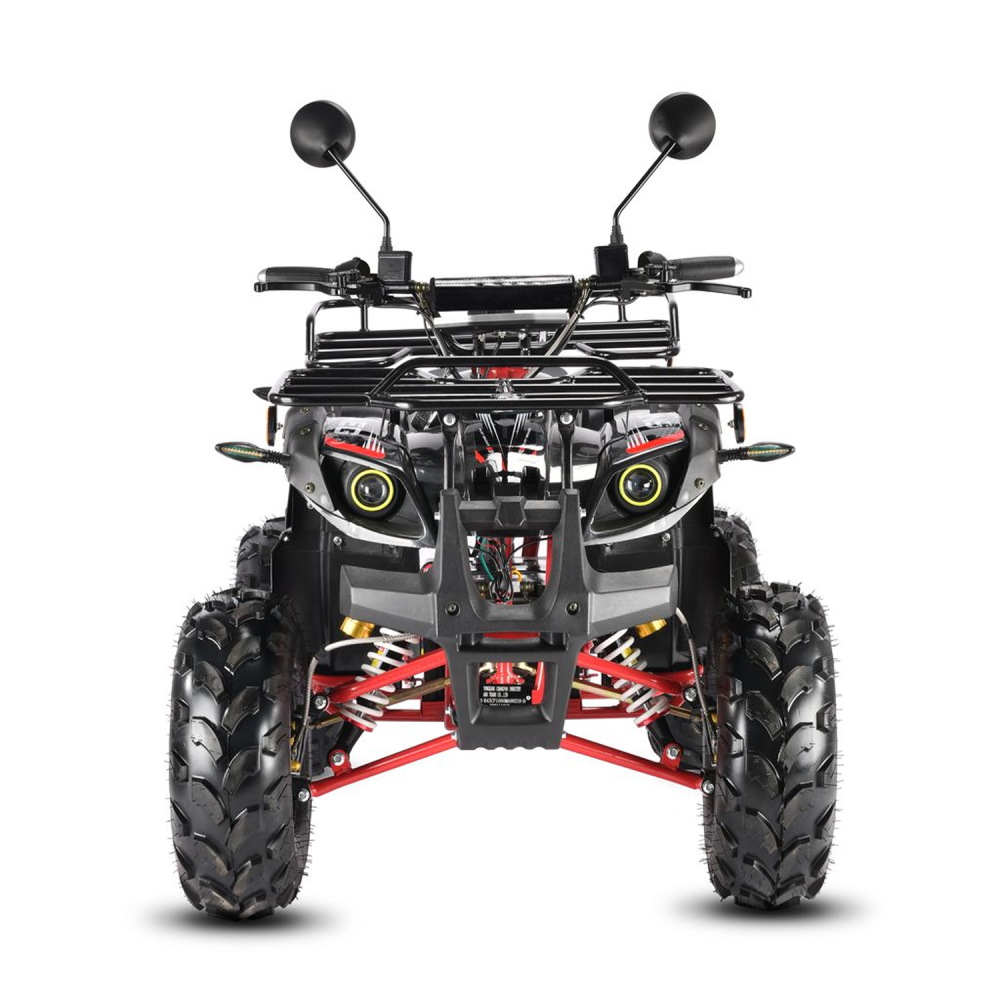 Электроквадроцикл WHITE SIBERIA SNEG PRO 3000W 7 Электроквадроцикл WHITE SIBERIA SNEG PRO 3000W 7
