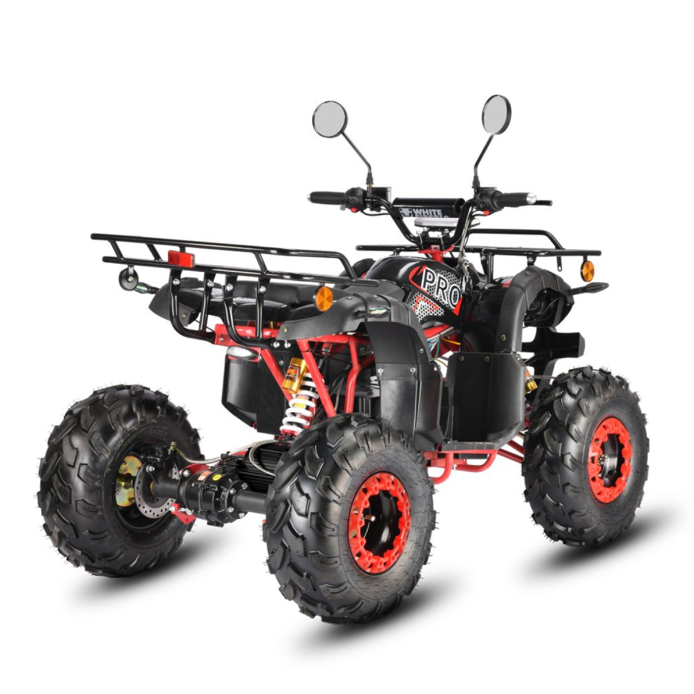 Электроквадроцикл WHITE SIBERIA SNEG PRO 3000W 4 Электроквадроцикл WHITE SIBERIA SNEG PRO 3000W 4
