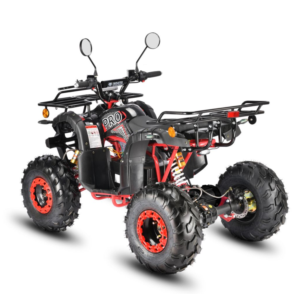 Электроквадроцикл WHITE SIBERIA SNEG PRO 3000W 2 Электроквадроцикл WHITE SIBERIA SNEG PRO 3000W 2