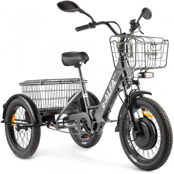 Электровелосипед электротрицикл Eltreco Green City e-ALFA Trike Серебристый