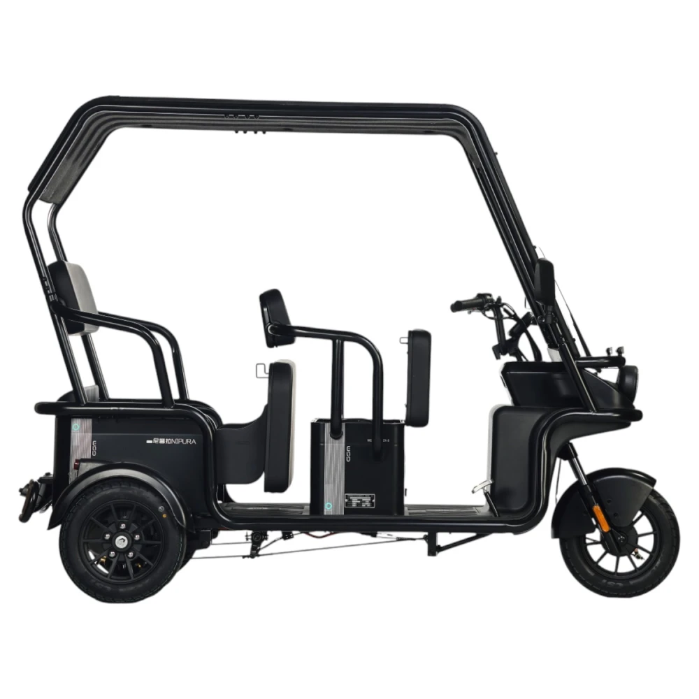 Электротрицикл Wanshida NIPLA 570 60V 1000Вт 4